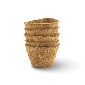 Coco Pot 5 adet 5x7 cm Organik Bitki Saksısı