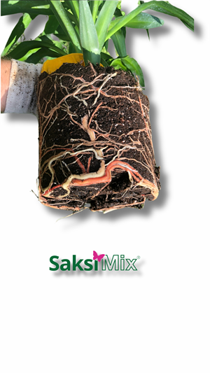 20 L Dış Mekan Bitki Yetiştirme Ortamı