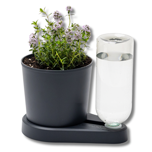 Herbal Hero Saksı Antrasit Akıllı Saksı