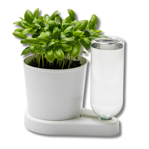 Herbal Hero Saksı Beyaz Akıllı Saksı