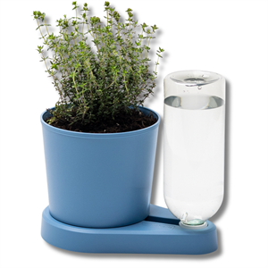 Herbal Hero Akıllı Saksı Mavi