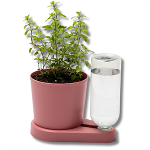 Herbal Hero Saksı Pembe Akıllı Saksı