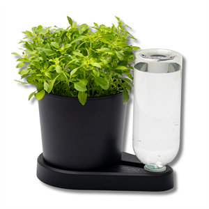 Herbal Hero Saksı Siyah Akıllı Saksı