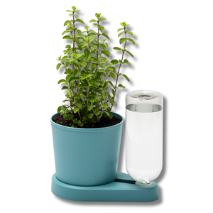 Herbal Hero Turkuaz Akıllı Saksı