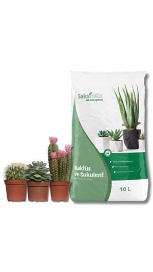 10 L Kaktüs & Sukulent Yetiştirme Ortamı