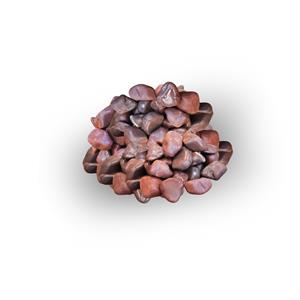 20 kg Medium (2-4 cm) Bordo Dolomit Doğal Taş
