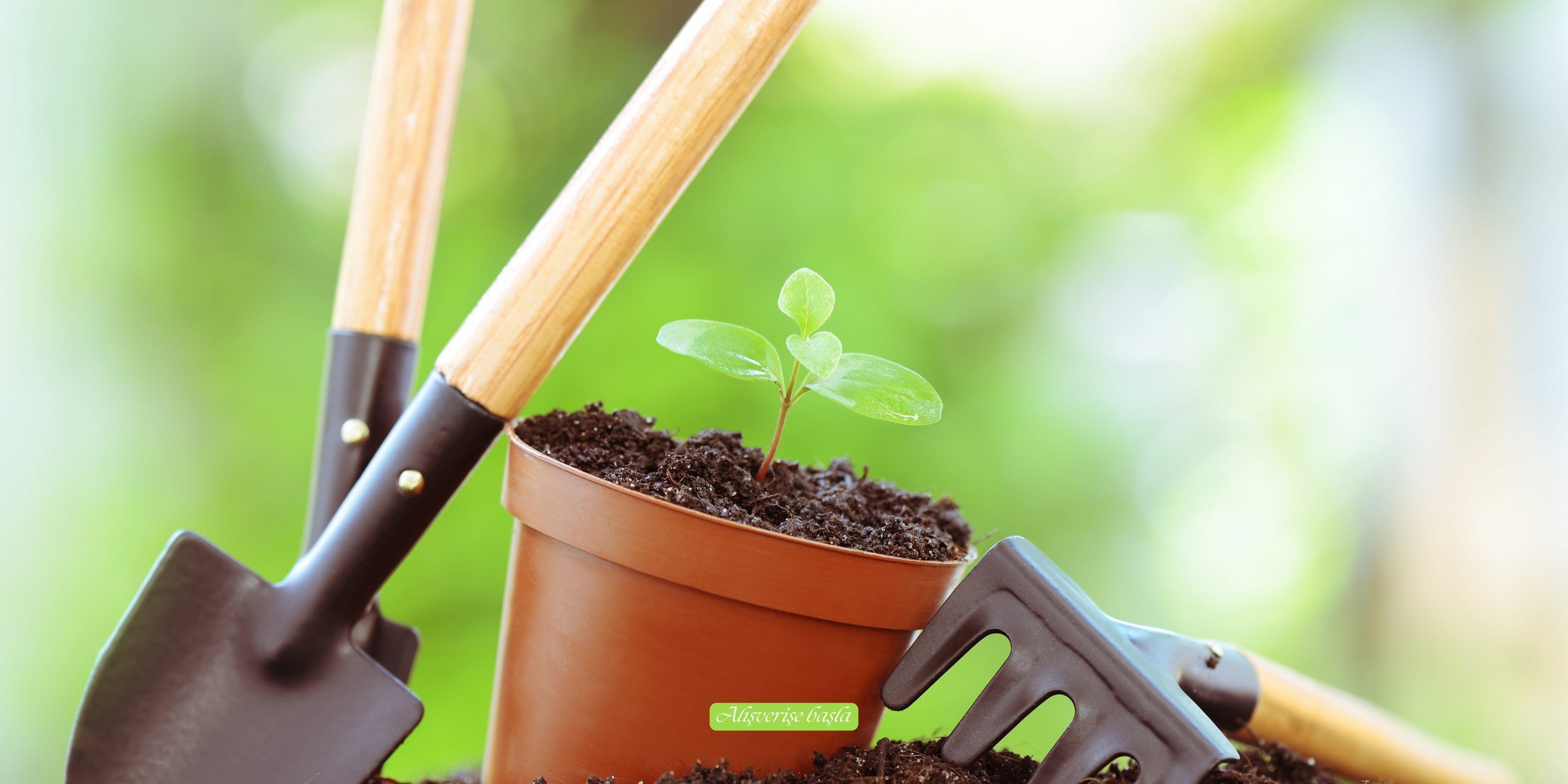 Alışverişe başla