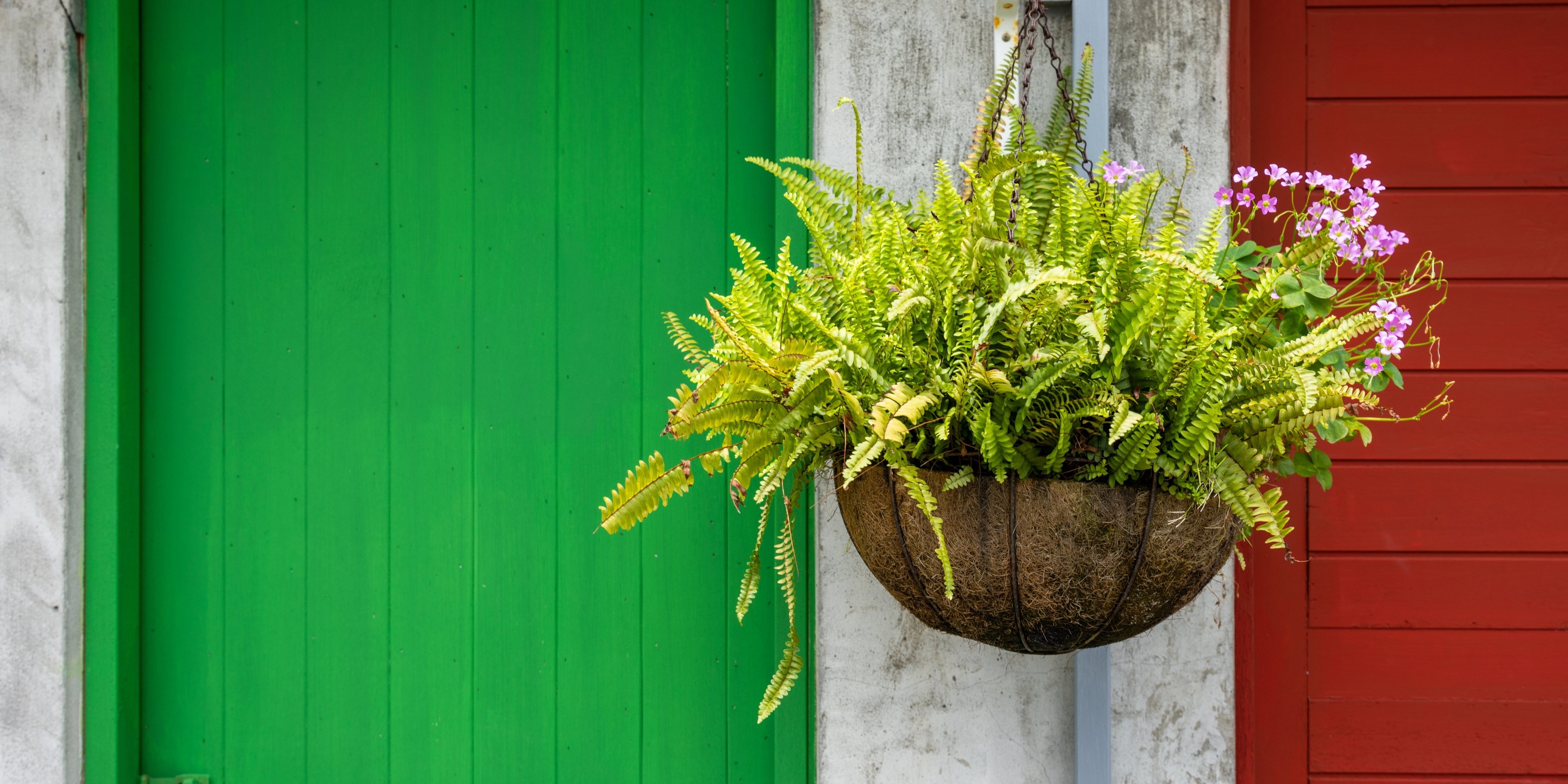 Askılı Coco Saksı