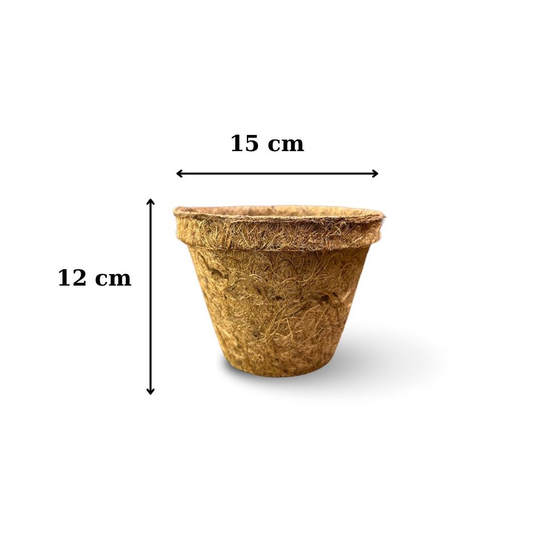Coco Pot 12x15 cm Organik Bitki Saksısı