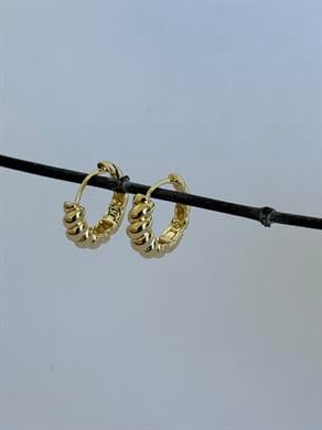 Burgu Motifli Halka Küpe