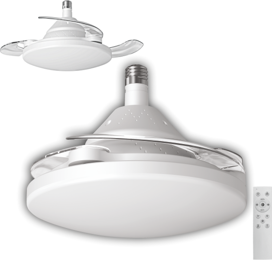 CATA-CT-1156