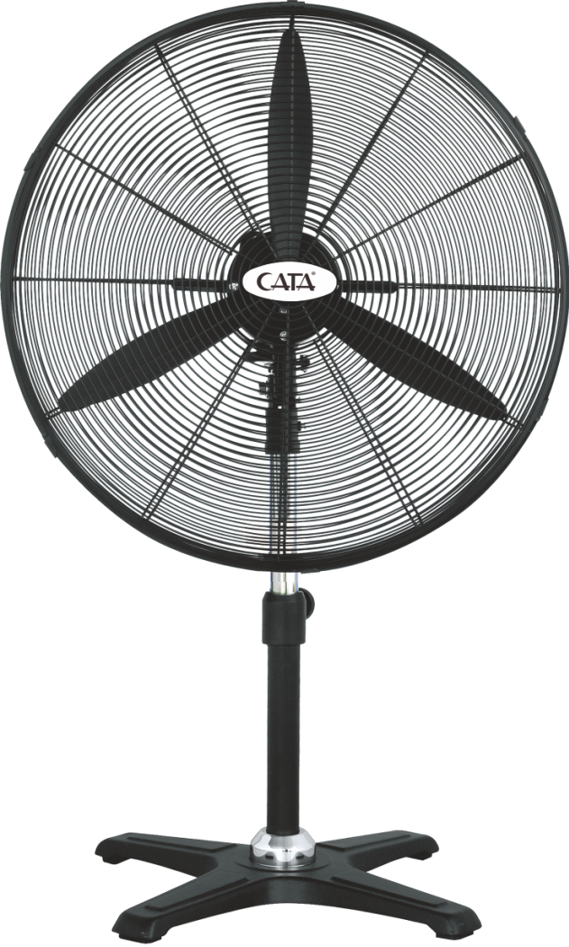 CATA-CT-3030