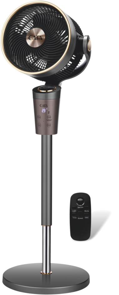 CATA-CT-3040