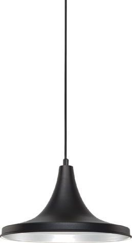CATA-CT-8303
