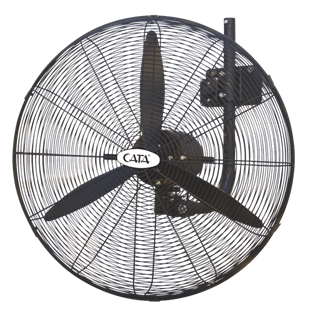CATA-CT-3025