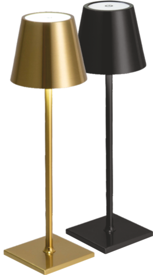 CATA-CT-8437