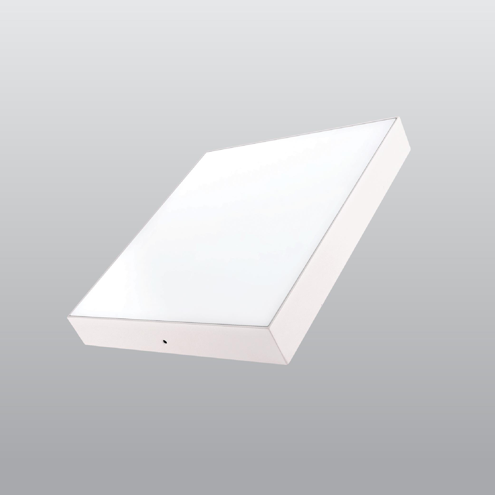 ACK-AP06-01800