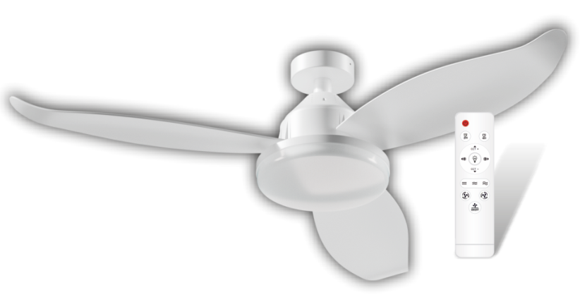CATA-CT-1157