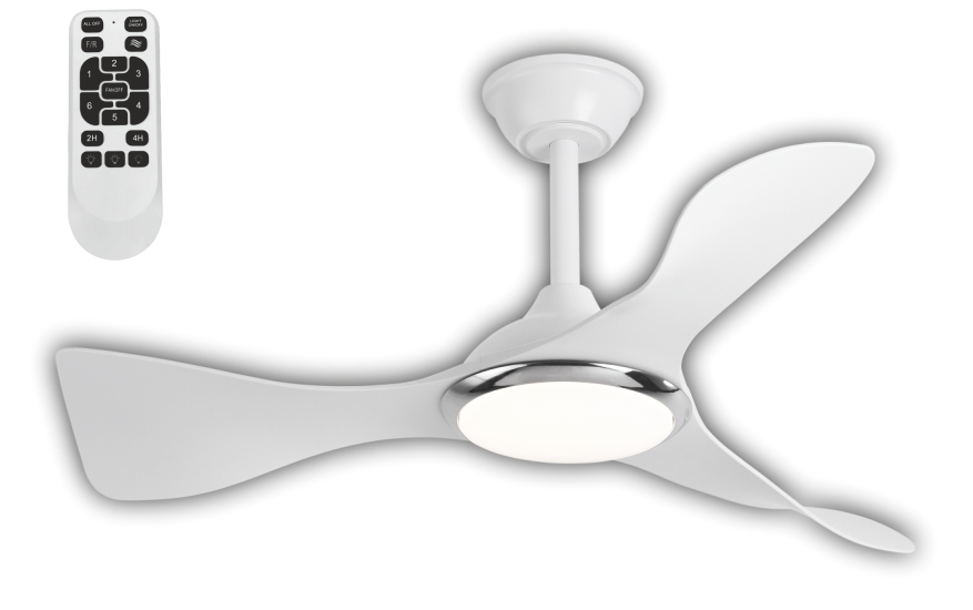 CATA-CT-3000