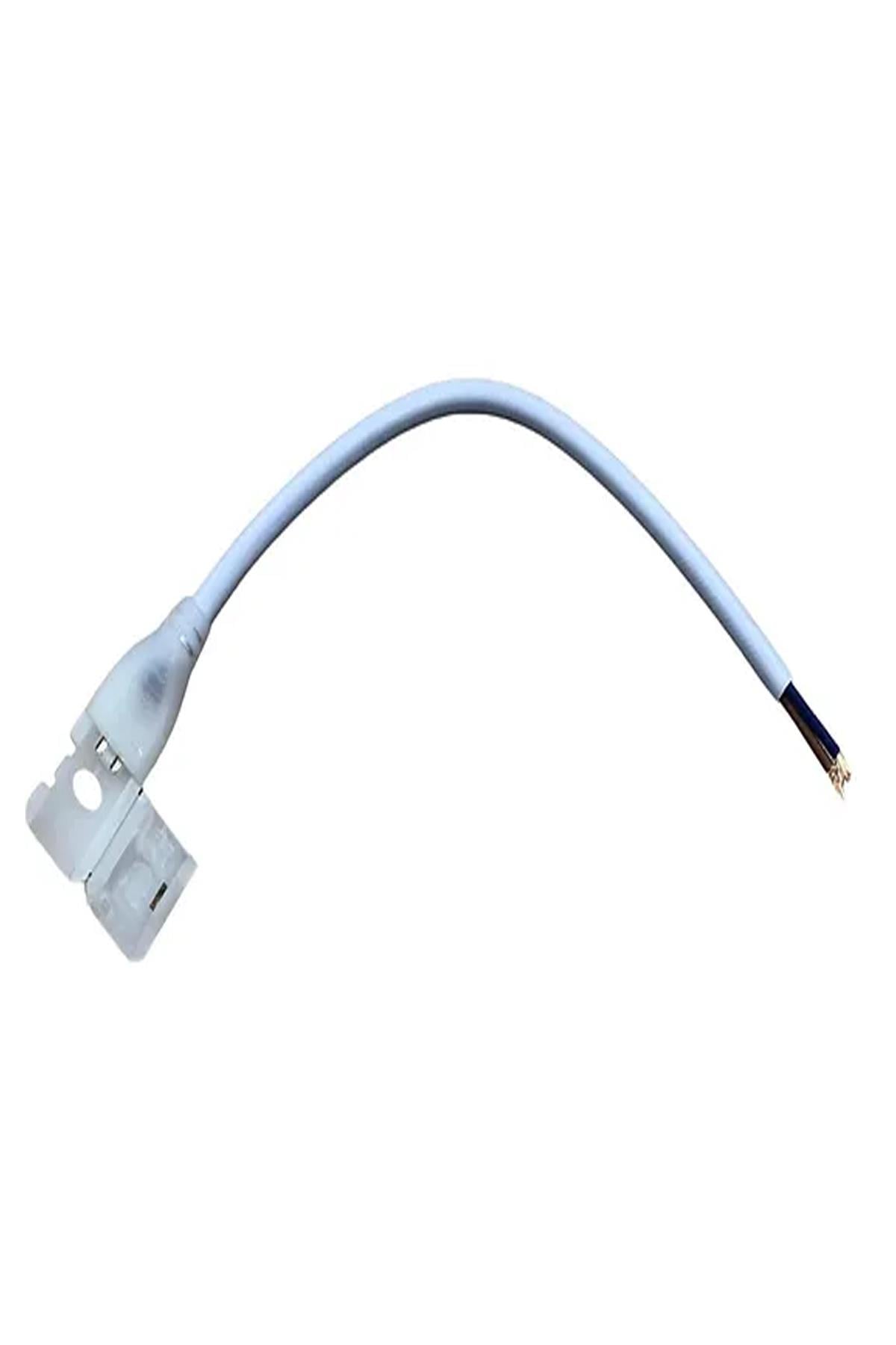 CATA-CT-4499
