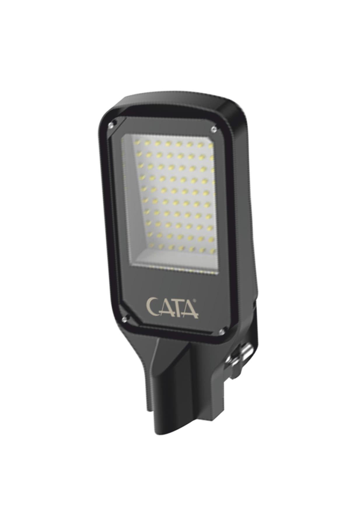 CATA-CT-4682