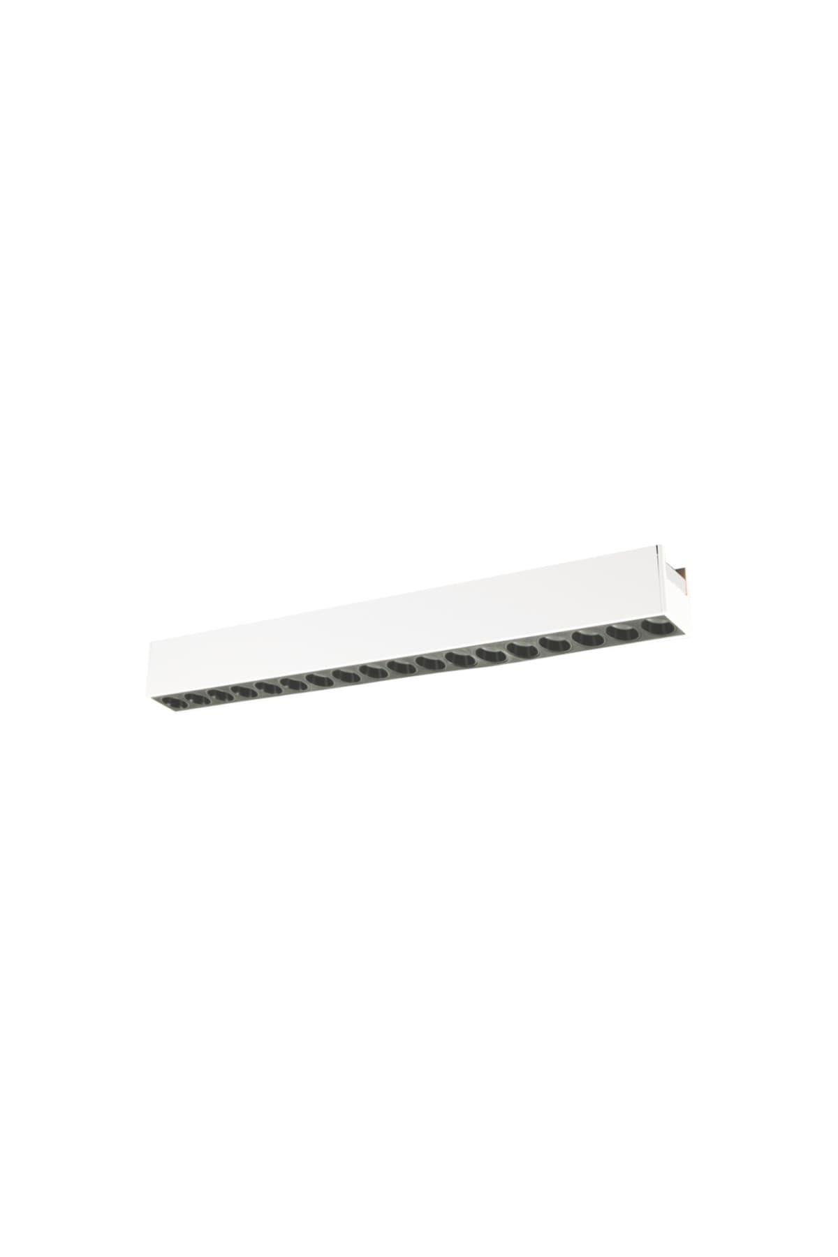 CATA-CT-5812