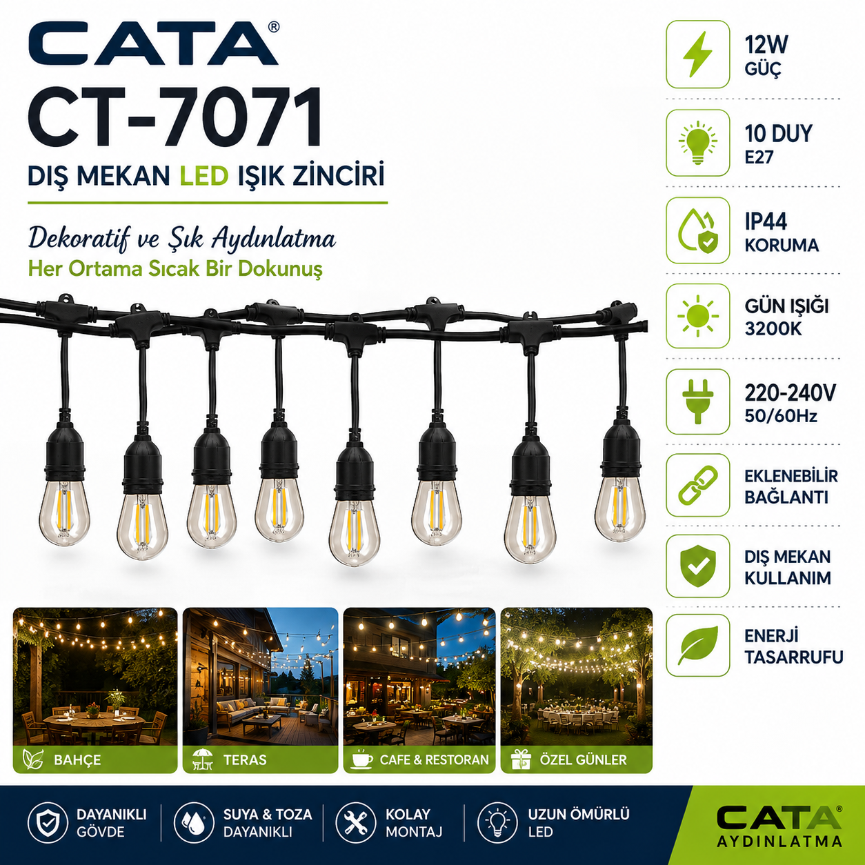 CATA-CT-7071