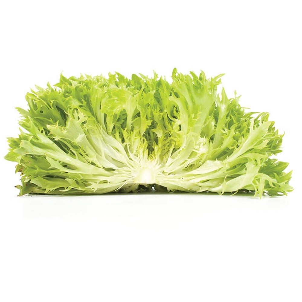 ENDİVYENSalata Malzemesi