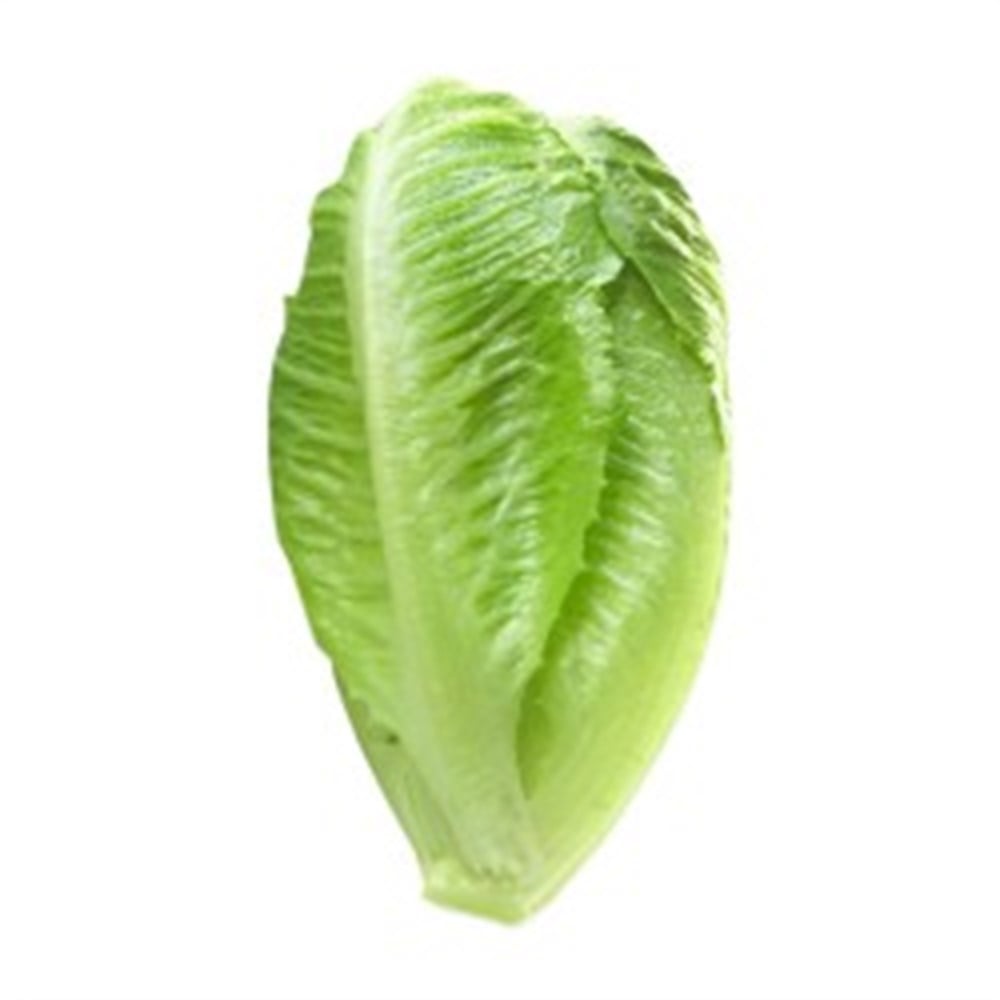 MARULSalata Malzemesi