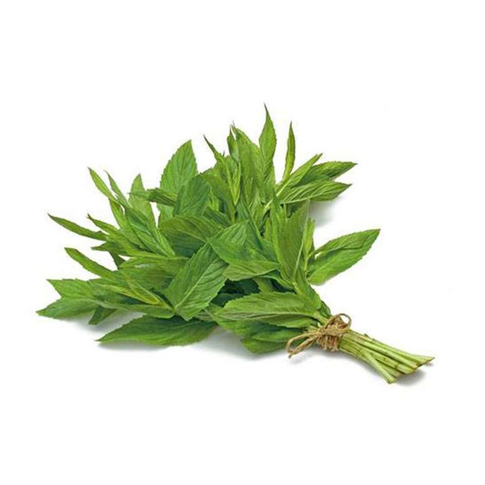 NANESalata Malzemesi