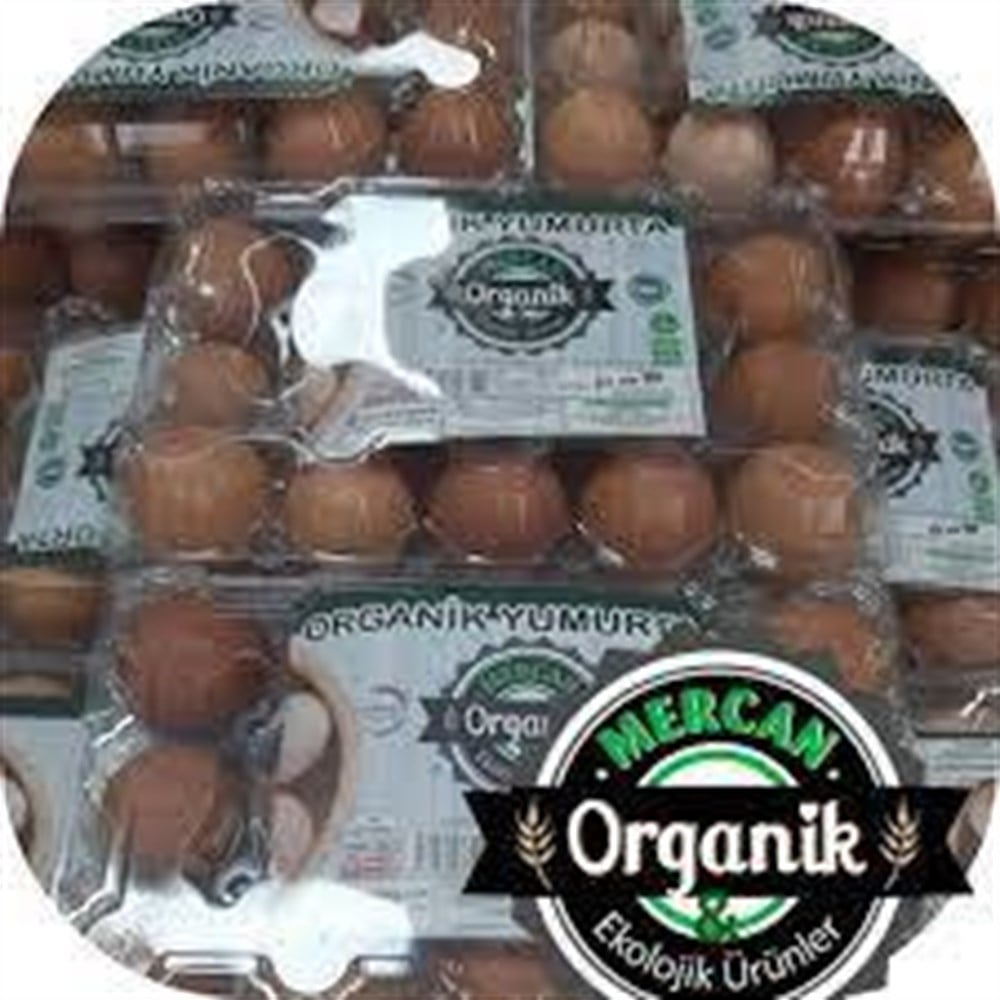 ORGANİK YUMURTA 10 LUYumurta
