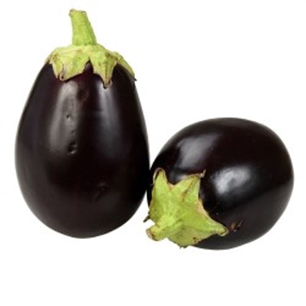 PATLICAN BOSTANSebze