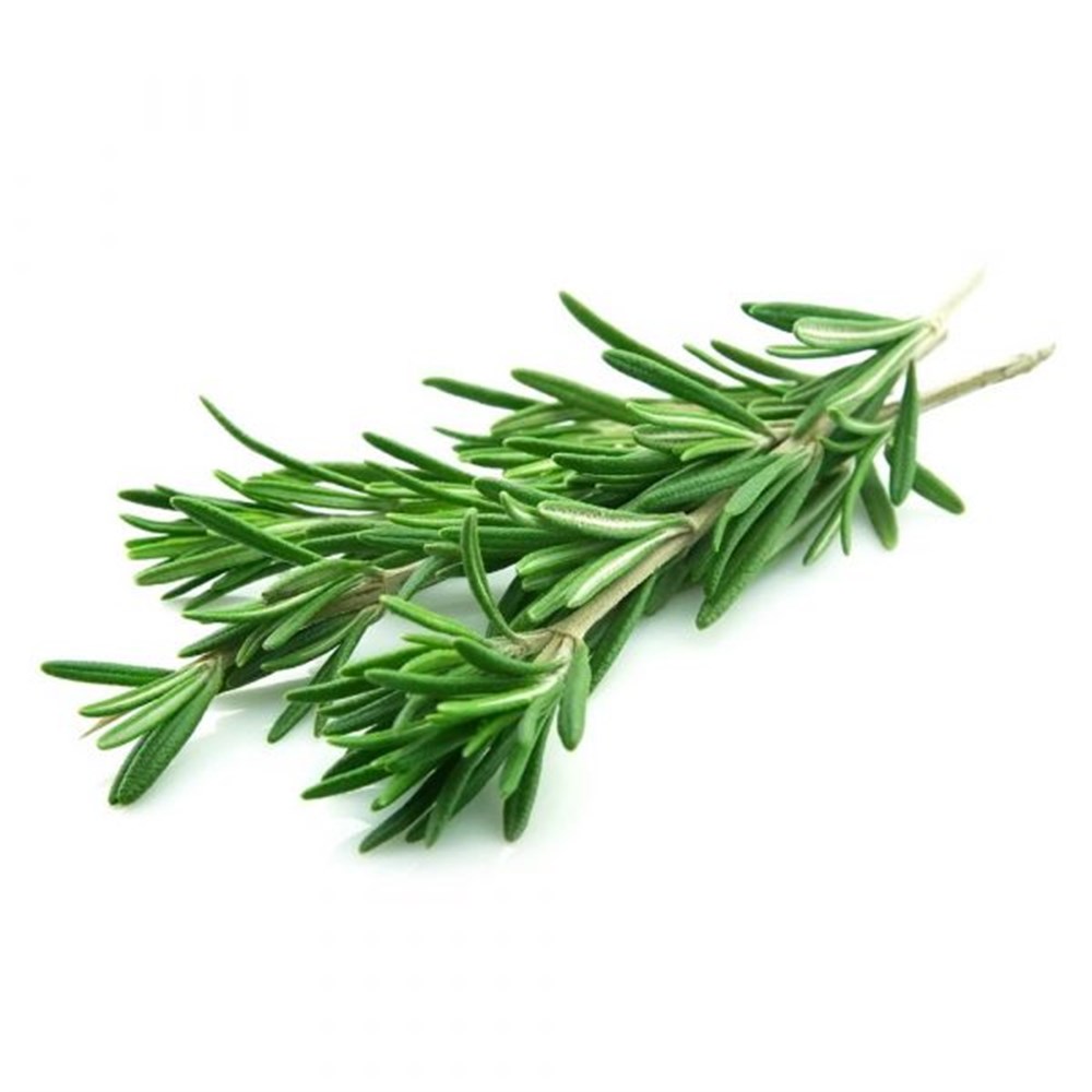 ROZMARİN 25 GRSalata Malzemesi