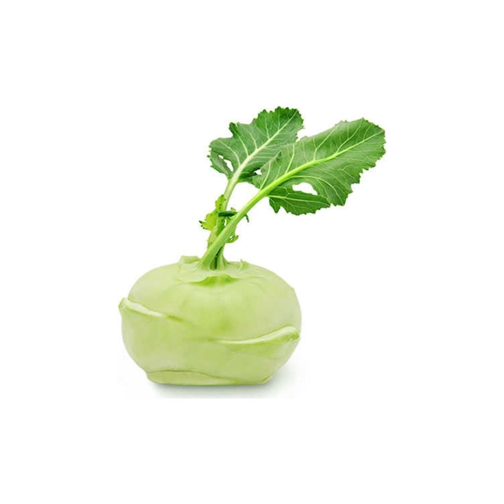 TURP ALABAŞSalata Malzemesi