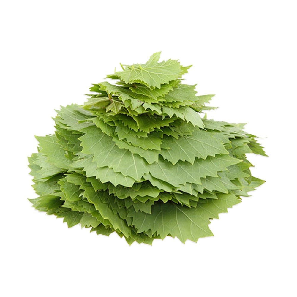 YAPRAK TAZESebze