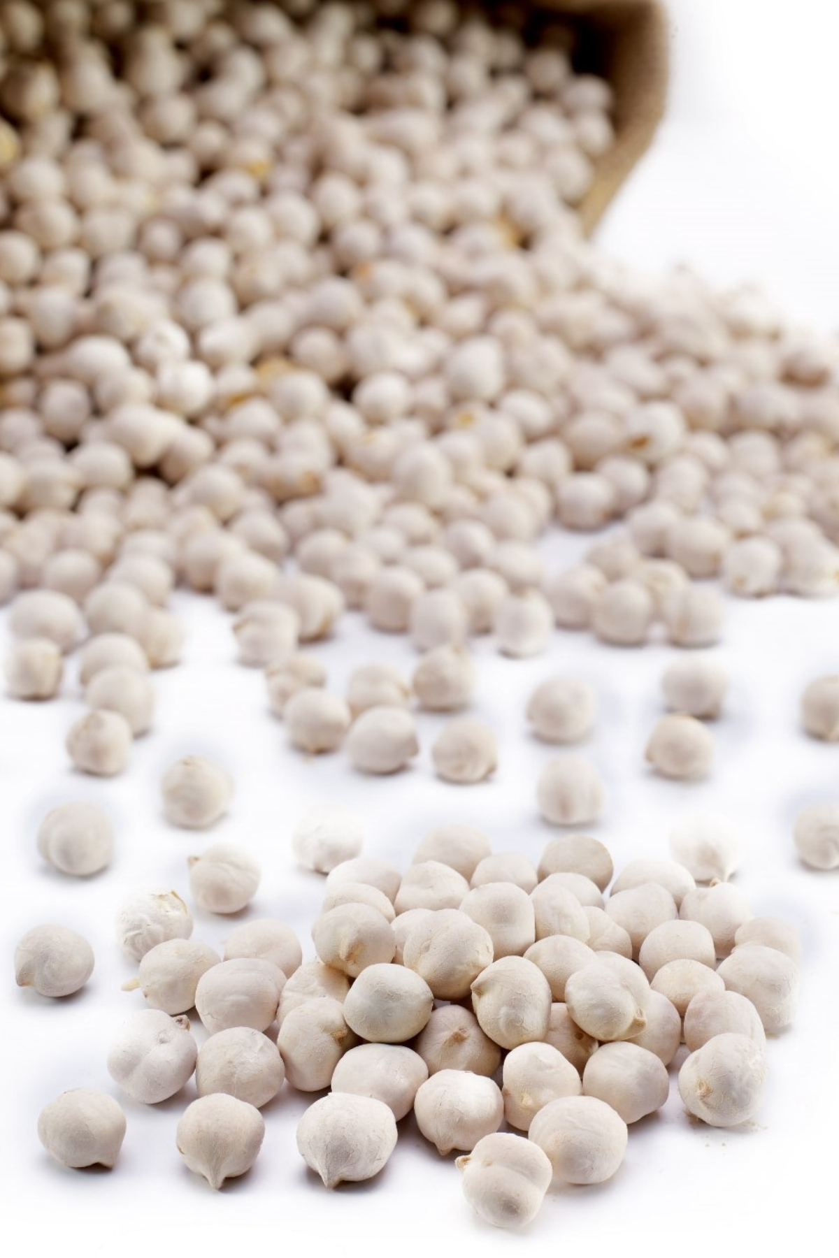 Beyaz Leblebi Toptan