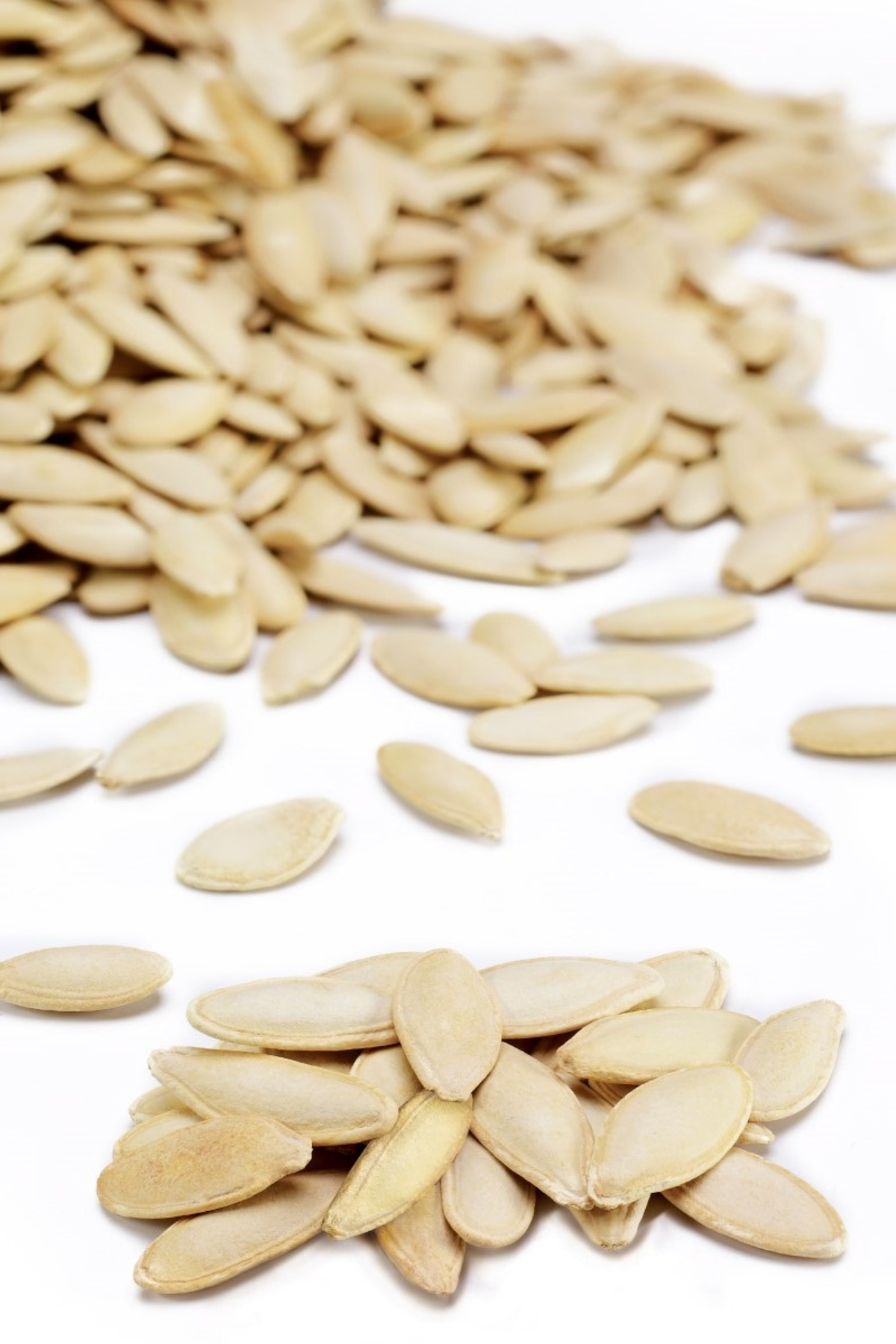 Kabak Çekirdeği Ürgüp Toptan