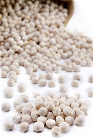 Beyaz Leblebi Toptan