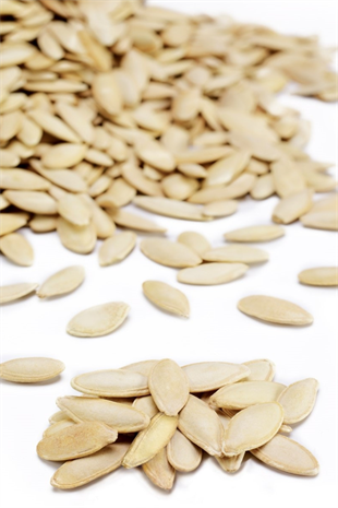 Kabak Çekirdeği Ürgüp Toptan