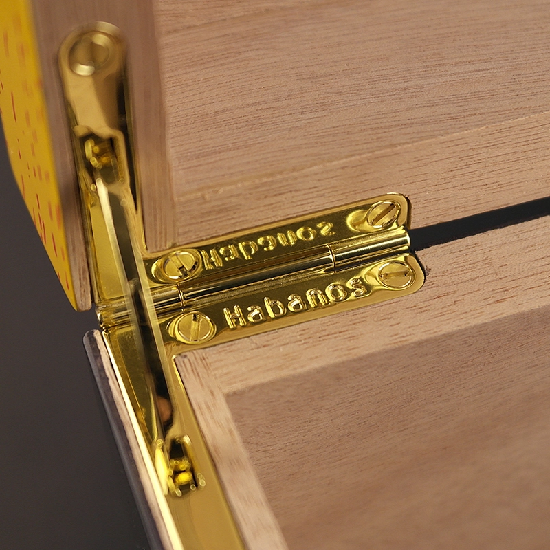 Partagas Global Brand Puro Kutusu Humidor 60s