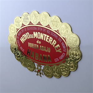 Hoyo de Monterrey Global Brand Puro Kutusu Humidor 60s