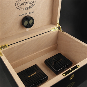 Partagas Global Brand Puro Kutusu Humidor 60s