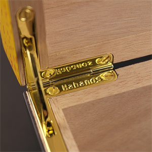 Partagas Global Brand Puro Kutusu Humidor 60s