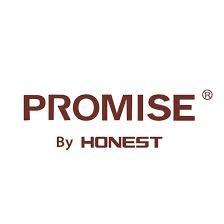 Promise