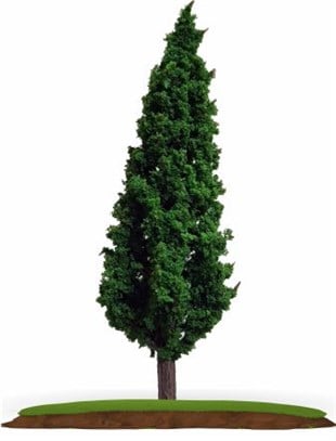 5'li Maket Ağaç 1:100 Ölçek 5 cm (VT1205B-5)