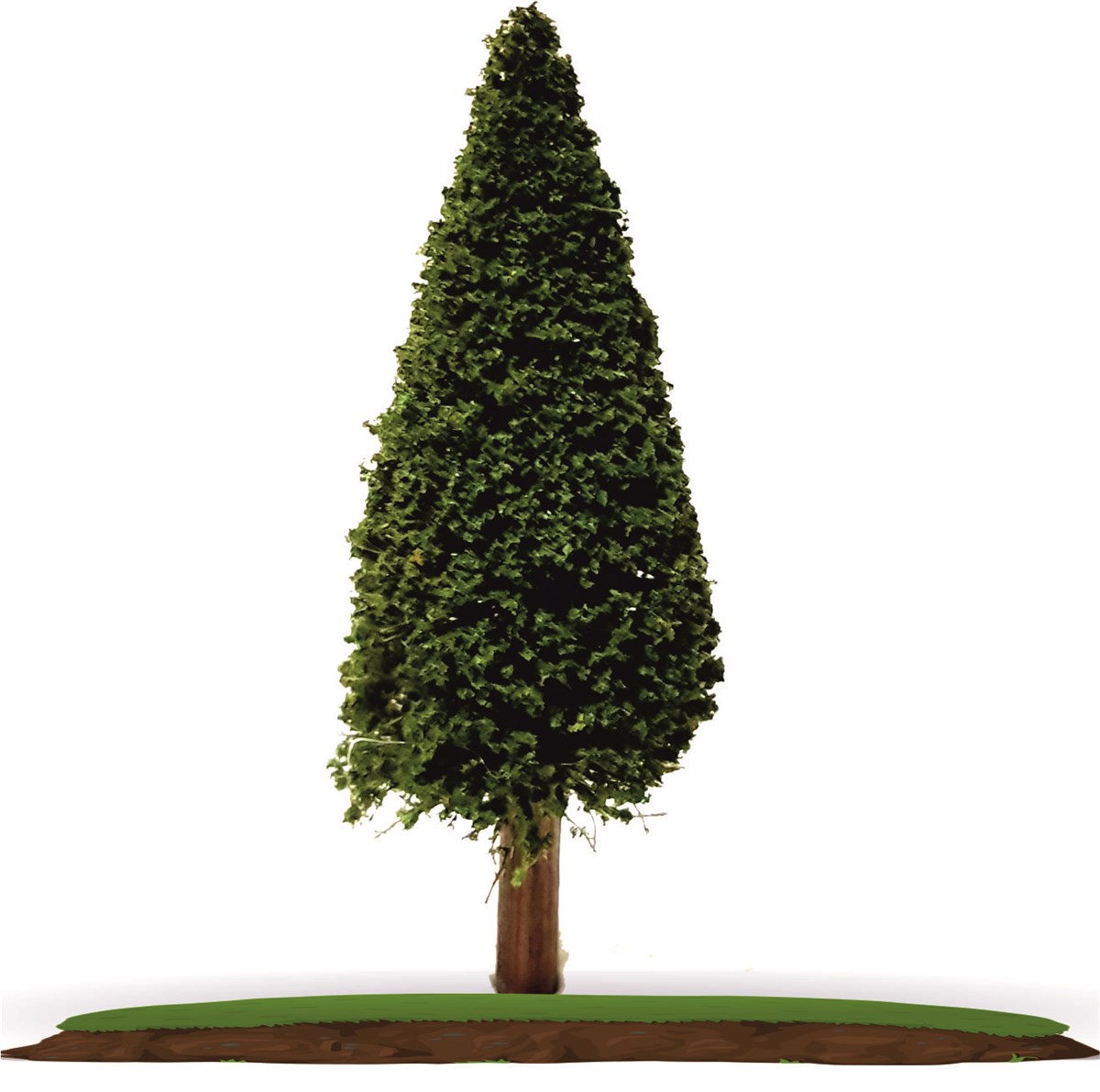 2'li Ayaklı Maket Ağaç 1:100 Ölçek 10 cm (VT6001-10)