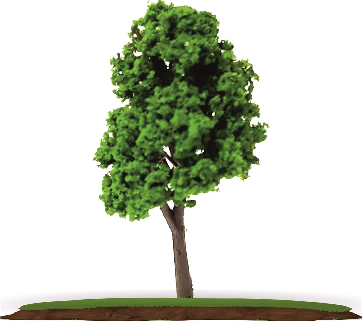 2'li Ayaklı Maket Ağaç 1:100 Ölçek 6 cm (VA50A-6)