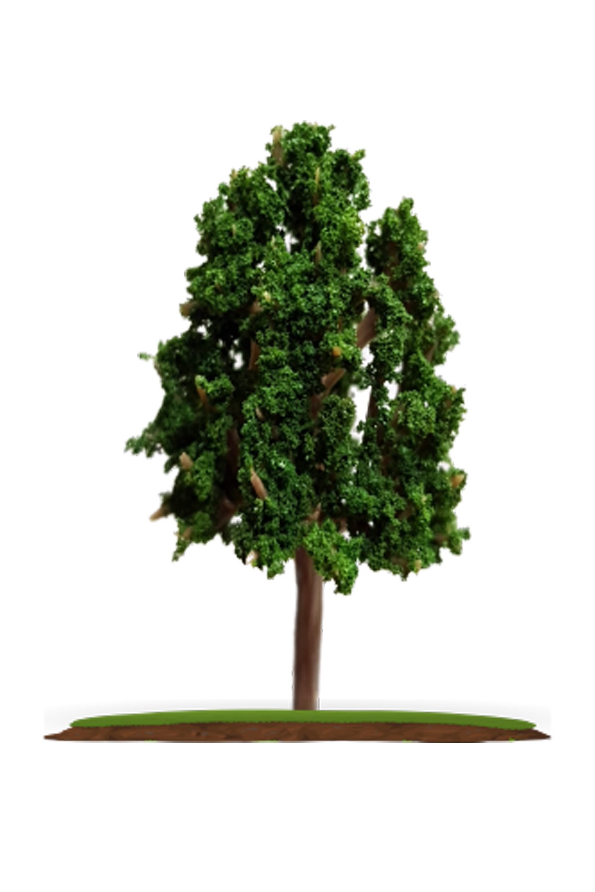 2'li Maket Ağaç 1:50 Ölçek 11,5 cm (VT1203A-11,5)