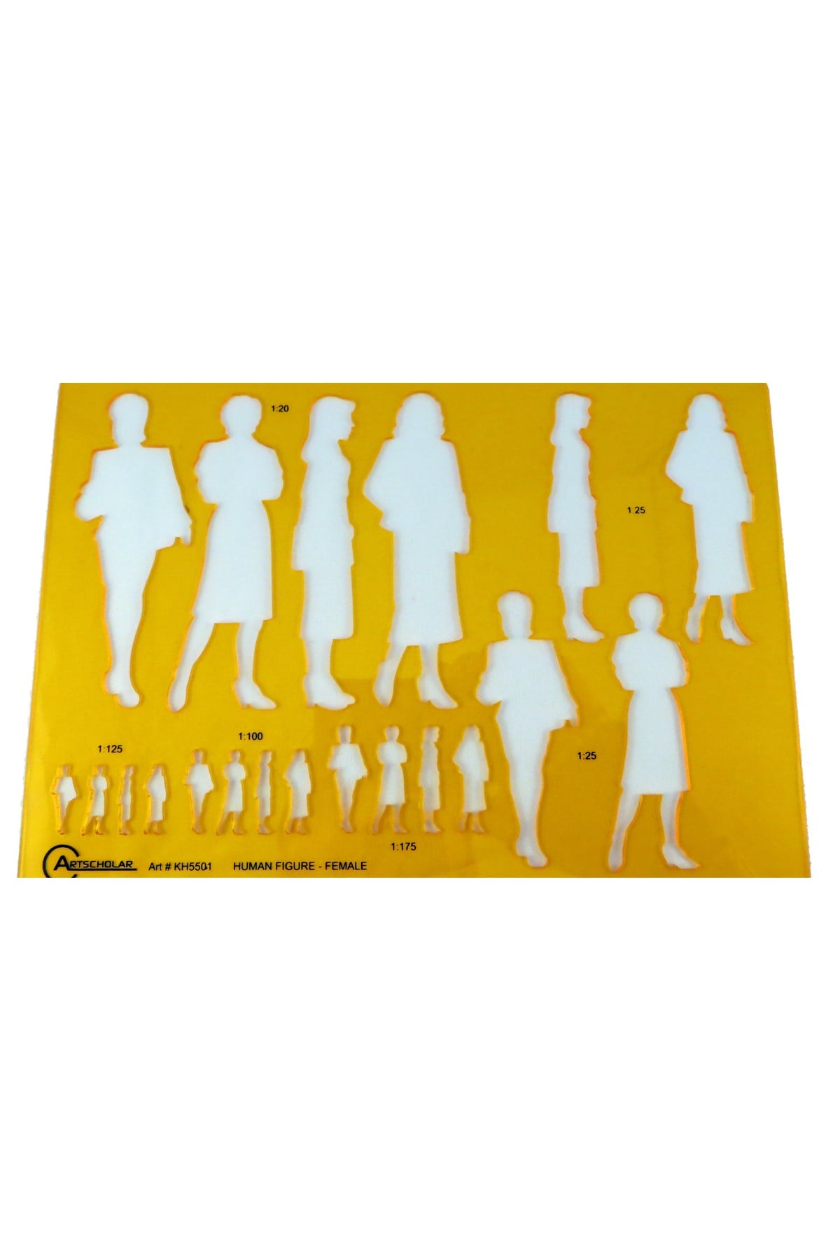 İnsan Figürü Şablonu Kadın