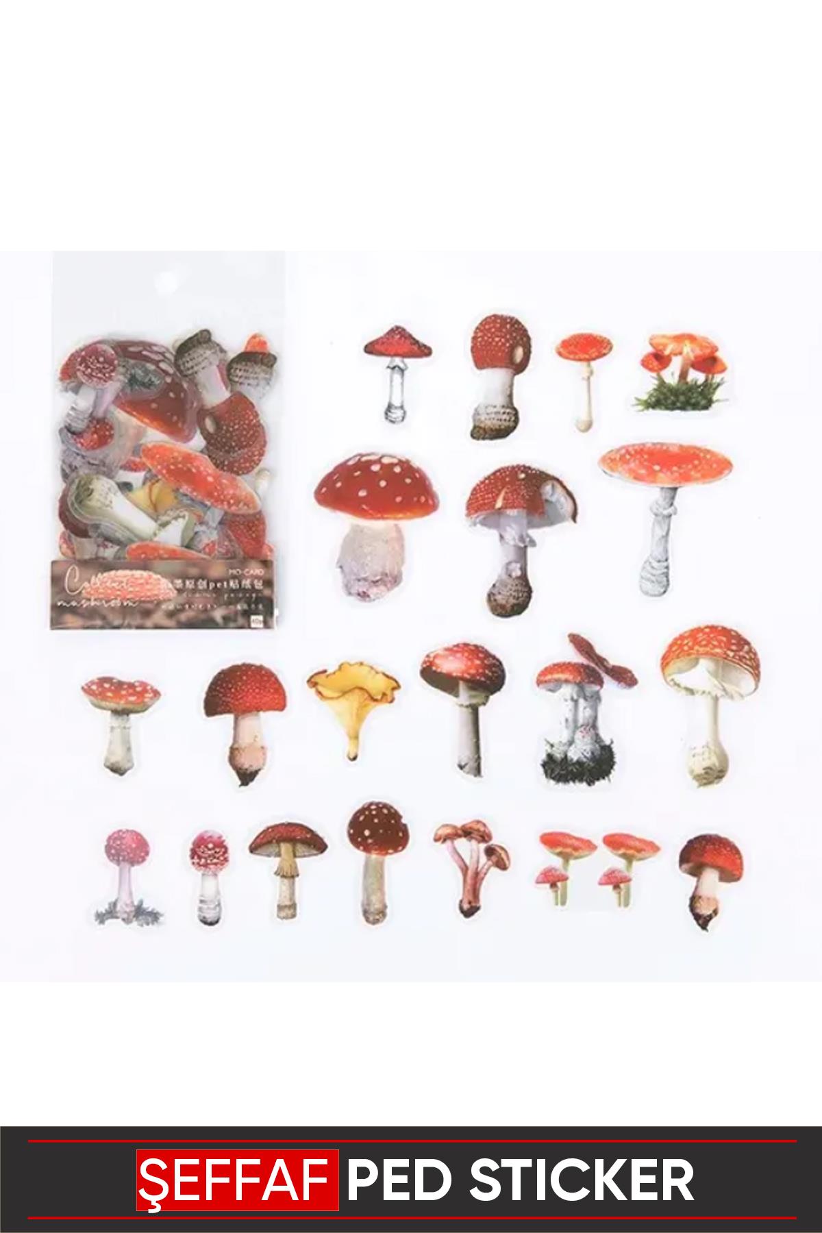 Vintage Şeffaf Pet Sticker 4-8cm 40 adet (MUSHROOM)